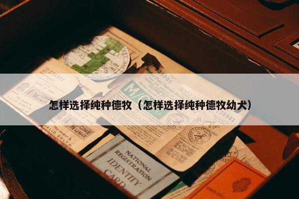 怎样选择纯种德牧（怎样选择纯种德牧幼犬）