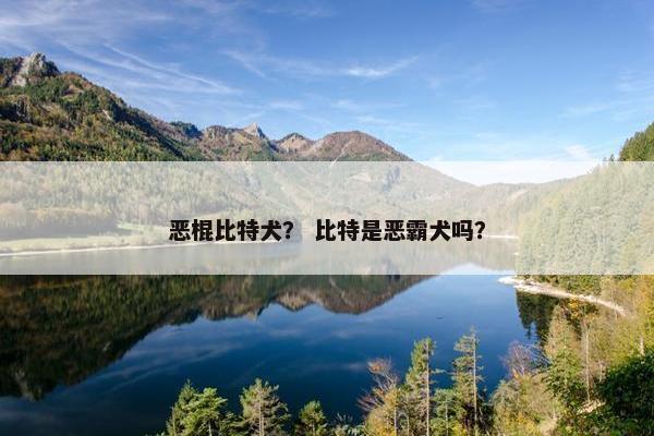 恶棍比特犬？ 比特是恶霸犬吗？