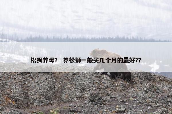 松狮养母？ 养松狮一般买几个月的最好?？
