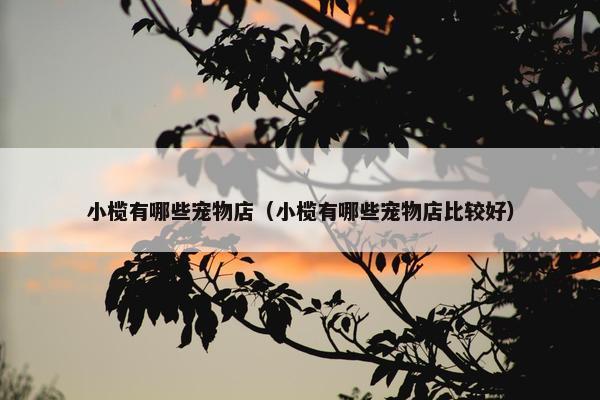 小榄有哪些宠物店（小榄有哪些宠物店比较好）
