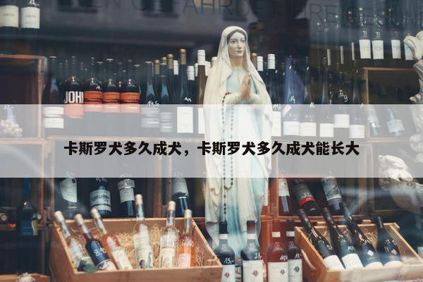 卡斯罗犬多久成犬，卡斯罗犬多久成犬能长大