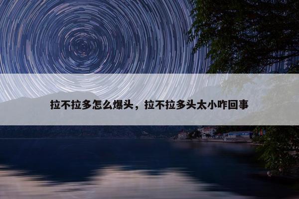 拉不拉多怎么爆头，拉不拉多头太小咋回事