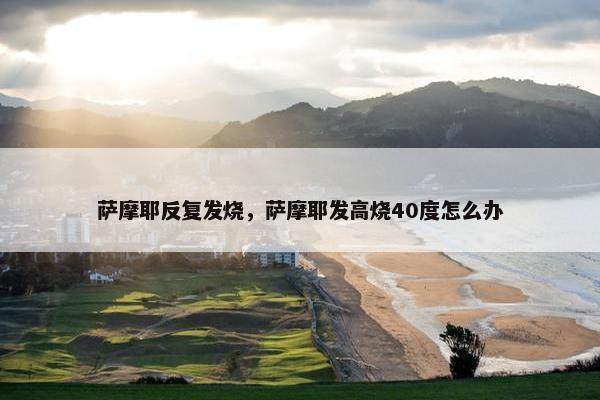 萨摩耶反复发烧，萨摩耶发高烧40度怎么办