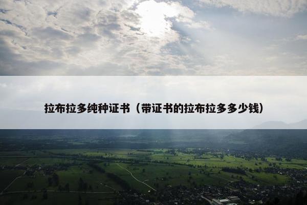 拉布拉多纯种证书（带证书的拉布拉多多少钱）