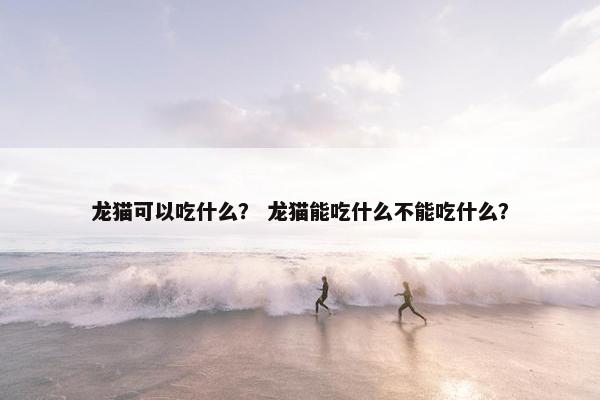 龙猫可以吃什么？ 龙猫能吃什么不能吃什么？