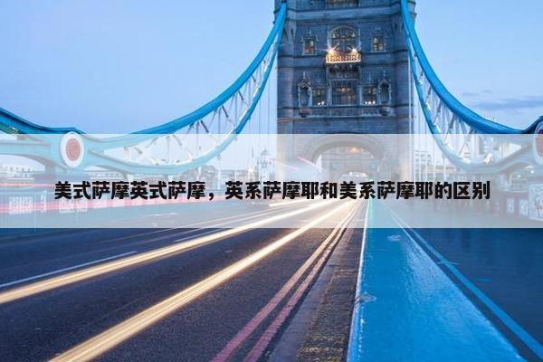 美式萨摩英式萨摩，英系萨摩耶和美系萨摩耶的区别