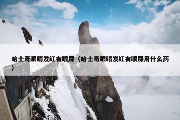 哈士奇眼睛发红有眼屎（哈士奇眼睛发红有眼屎用什么药）