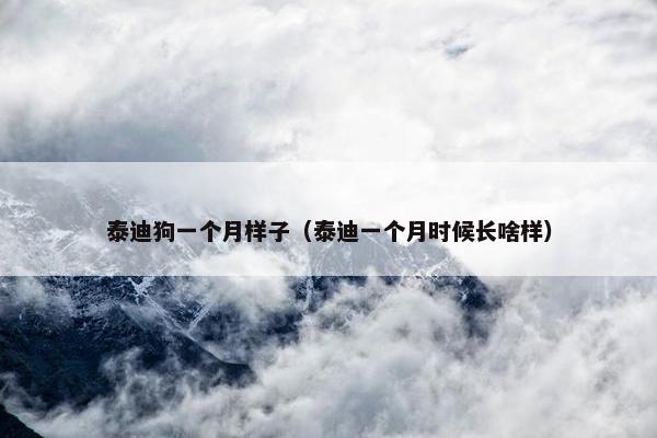 泰迪狗一个月样子（泰迪一个月时候长啥样）