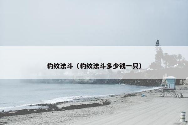 豹纹法斗（豹纹法斗多少钱一只）