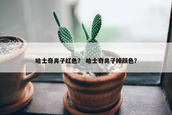 哈士奇鼻子红色？ 哈士奇鼻子掉颜色？