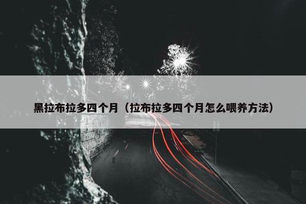 黑拉布拉多四个月（拉布拉多四个月怎么喂养方法）