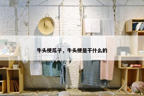 牛头梗瓜子，牛头梗是干什么的