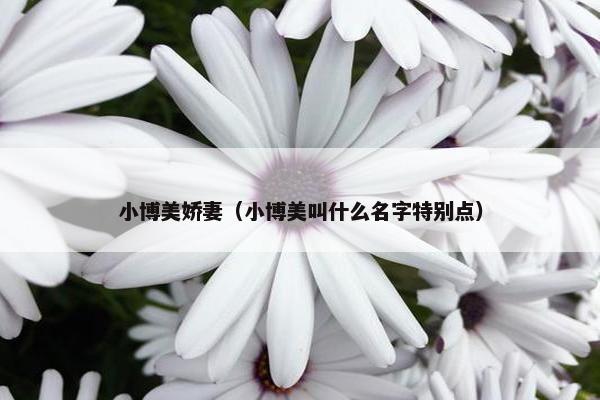 小博美娇妻（小博美叫什么名字特别点）