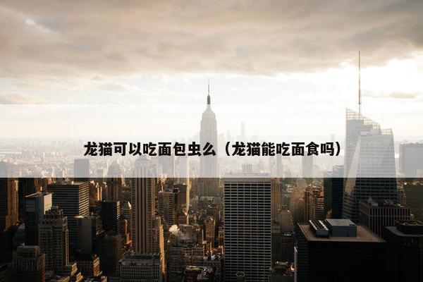 龙猫可以吃面包虫么（龙猫能吃面食吗）