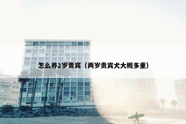 怎么养2岁贵宾（两岁贵宾犬大概多重）