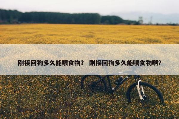 刚接回狗多久能喂食物？ 刚接回狗多久能喂食物啊？