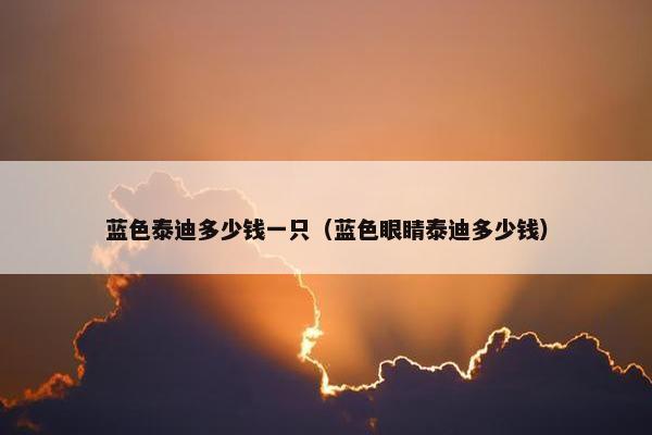 蓝色泰迪多少钱一只（蓝色眼睛泰迪多少钱）