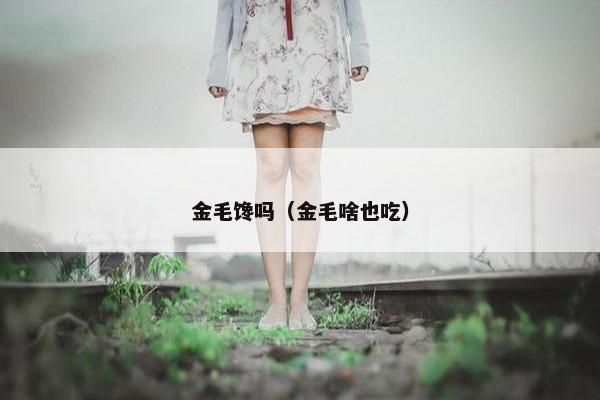 金毛馋吗（金毛啥也吃）