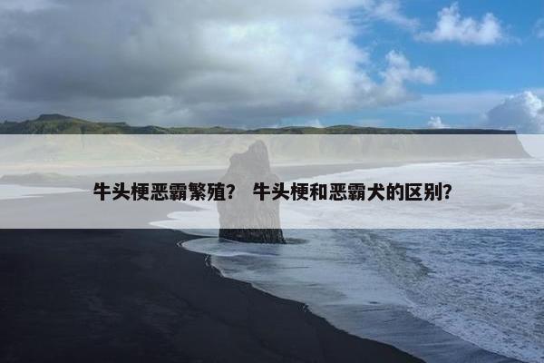牛头梗恶霸繁殖？ 牛头梗和恶霸犬的区别？