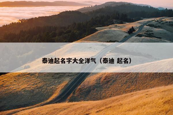 泰迪起名字大全洋气（泰迪 起名）