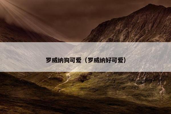 罗威纳狗可爱（罗威纳好可爱）