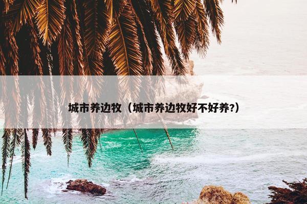 牧羊犬