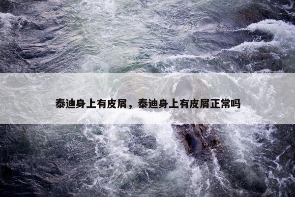 泰迪身上有皮屑，泰迪身上有皮屑正常吗