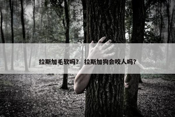 爱斯基摩