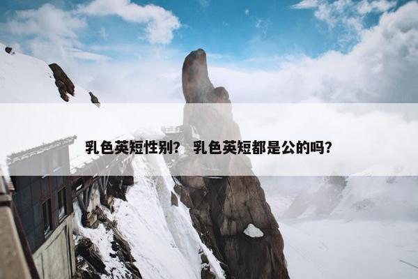 乳色英短性别？ 乳色英短都是公的吗？