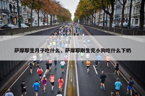 萨摩耶坐月子吃什么，萨摩耶刚生完小狗吃什么下奶