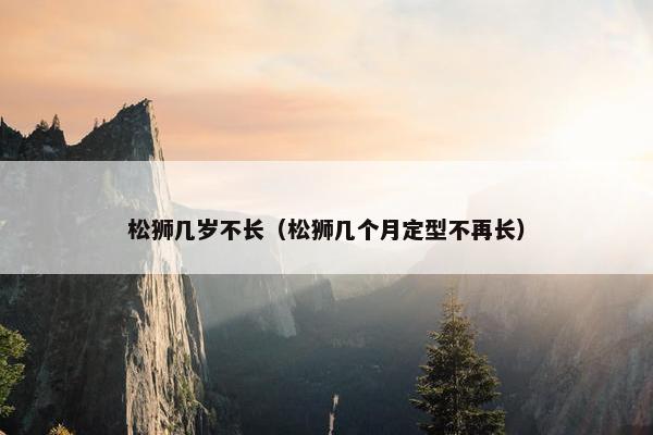 松狮几岁不长（松狮几个月定型不再长）
