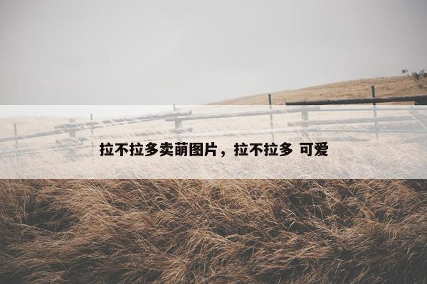 拉不拉多卖萌图片，拉不拉多 可爱