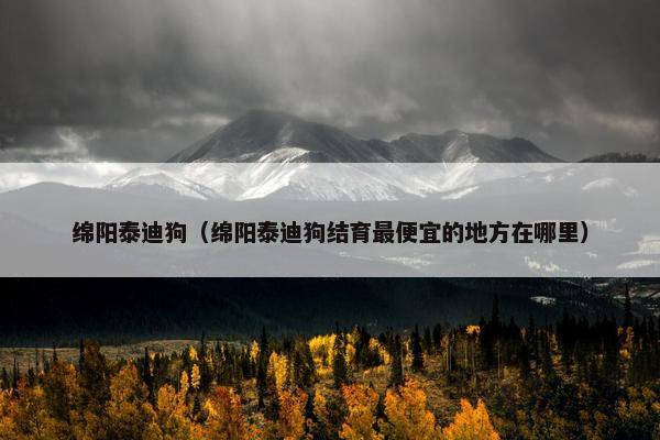 绵阳泰迪狗（绵阳泰迪狗结育最便宜的地方在哪里）