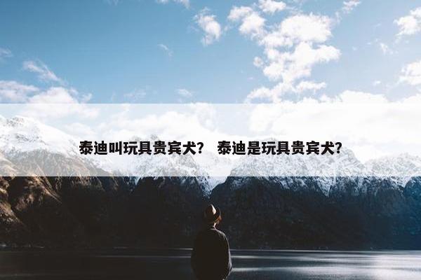 泰迪叫玩具贵宾犬？ 泰迪是玩具贵宾犬？