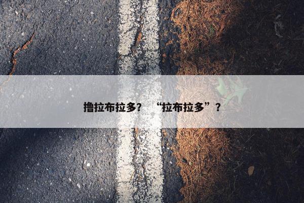撸拉布拉多？ “拉布拉多”？