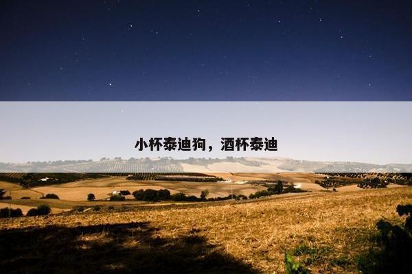 小杯泰迪狗，酒杯泰迪