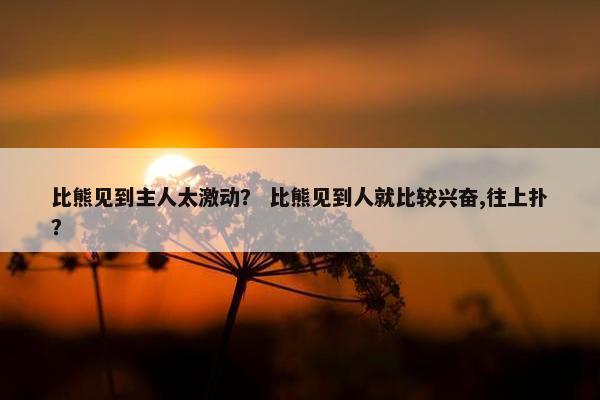 比熊见到主人太激动？ 比熊见到人就比较兴奋,往上扑？