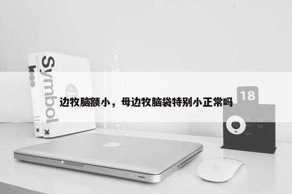 边牧脑额小，母边牧脑袋特别小正常吗