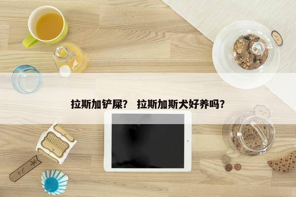 拉斯加铲屎？ 拉斯加斯犬好养吗？