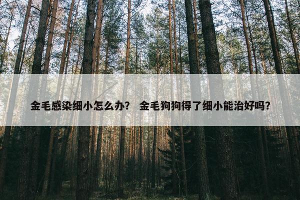 金毛感染细小怎么办？ 金毛狗狗得了细小能治好吗？
