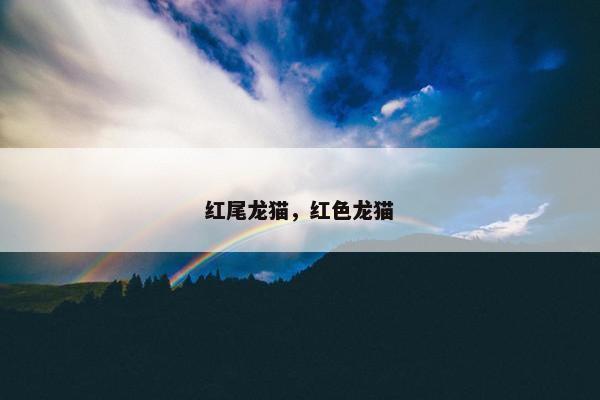 红尾龙猫，红色龙猫