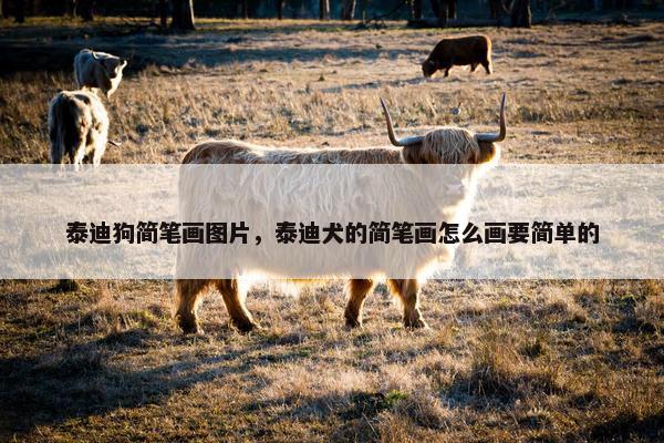 泰迪狗简笔画图片，泰迪犬的简笔画怎么画要简单的