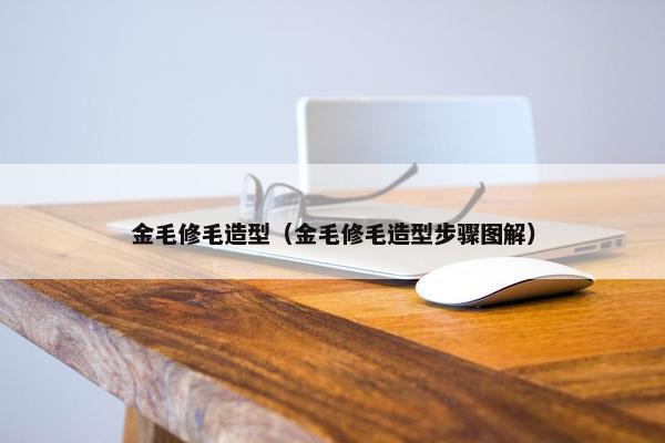 金毛修毛造型（金毛修毛造型步骤图解）