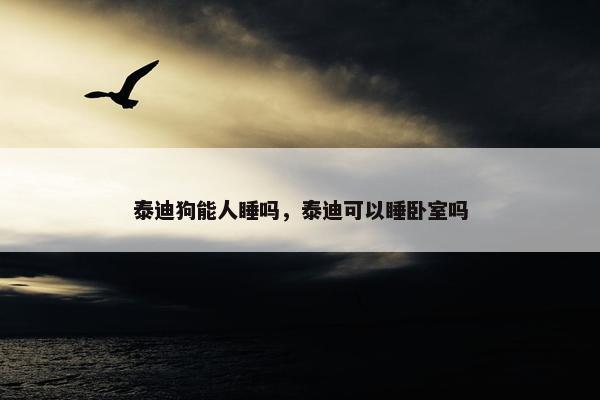 泰迪狗能人睡吗，泰迪可以睡卧室吗