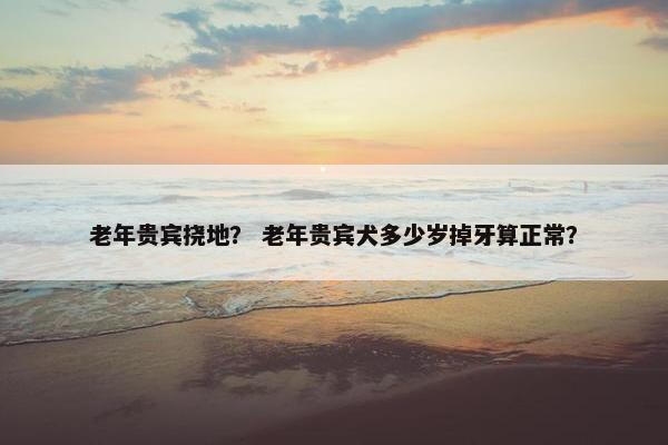 老年贵宾挠地？ 老年贵宾犬多少岁掉牙算正常？