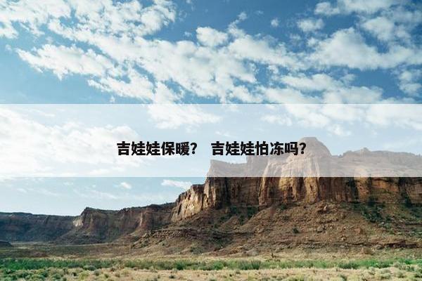 吉娃娃保暖？ 吉娃娃怕冻吗？