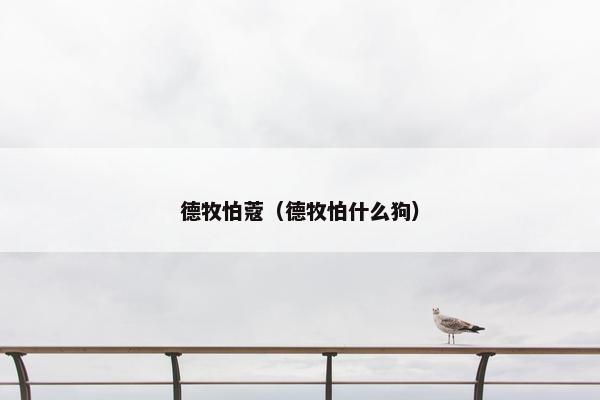 德牧怕蔻（德牧怕什么狗）