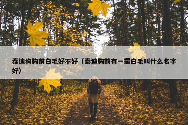 泰迪狗胸前白毛好不好（泰迪胸前有一撮白毛叫什么名字好）