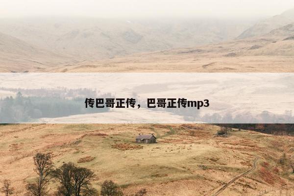 传巴哥正传，巴哥正传mp3