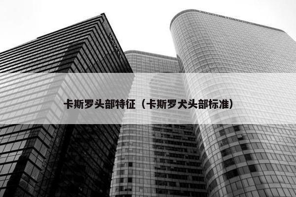 卡斯罗头部特征（卡斯罗犬头部标准）